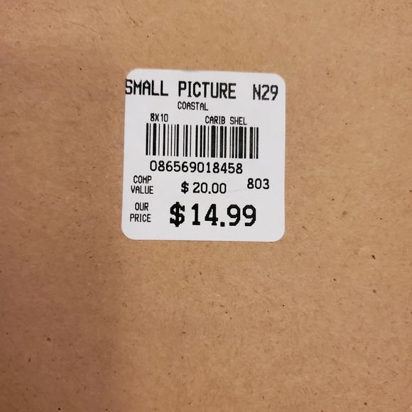 SeaShell Water Color Print by Barbara Fleri - Picture 5 of 8